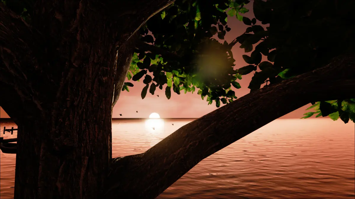 The sun sets over calm water framed by a large silhouetted tree